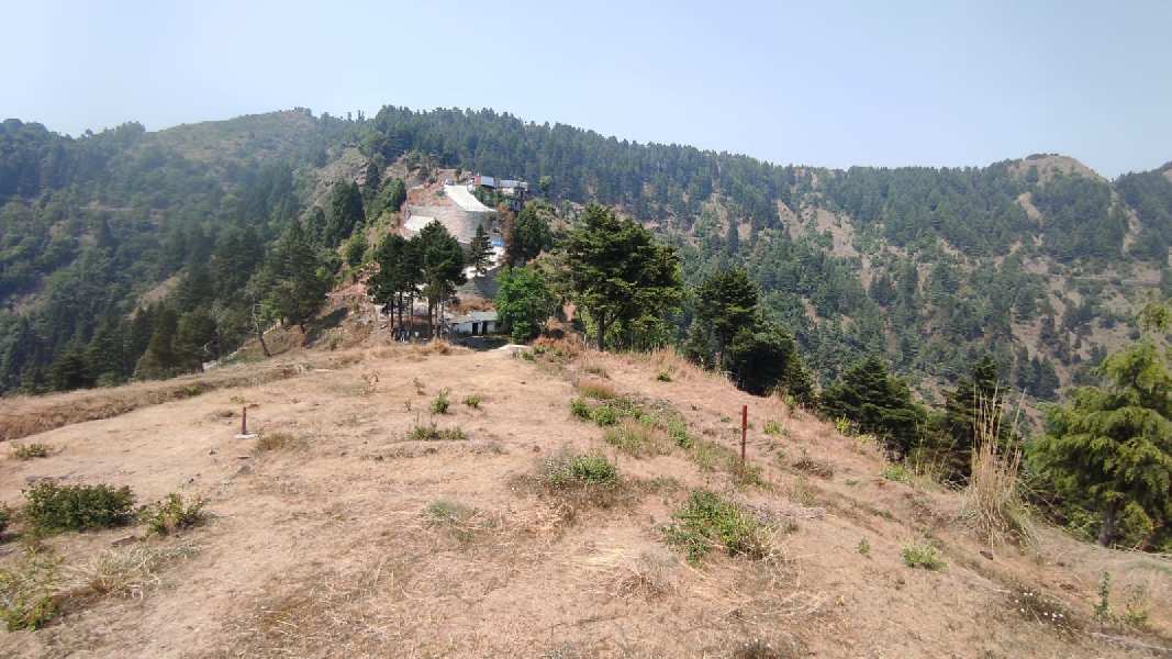 1172 Sq. Yards Agricultural/Farm Land for Sale in Mussoorie, Dehradun