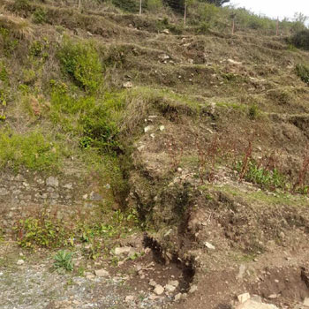 Property for sale in Dhanaulti, Tehri Garhwal