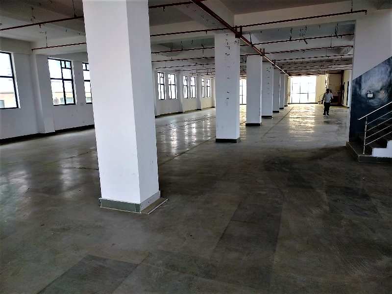 45000 Sq.ft. Factory / Industrial Building for Rent in Dlf Industrial Area, Faridabad