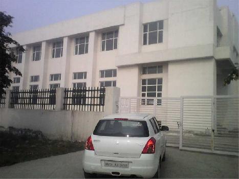 25000 Sq.ft. Factory / Industrial Building for Rent in Dlf Industrial Area, Faridabad
