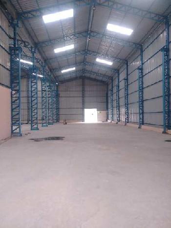 1300 Sq. Yards Factory / Industrial Building for Rent in Sector 59, Faridabad