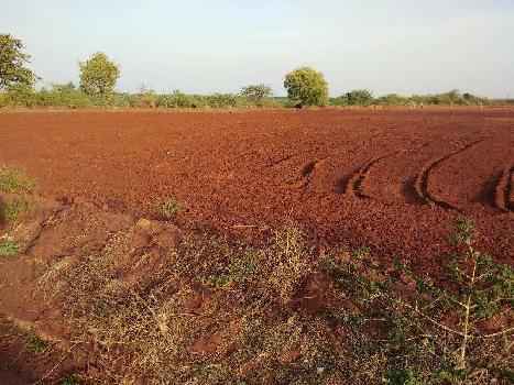 14 Acre Agricultural/Farm Land for Sale in Hiriyur, Chitradurga