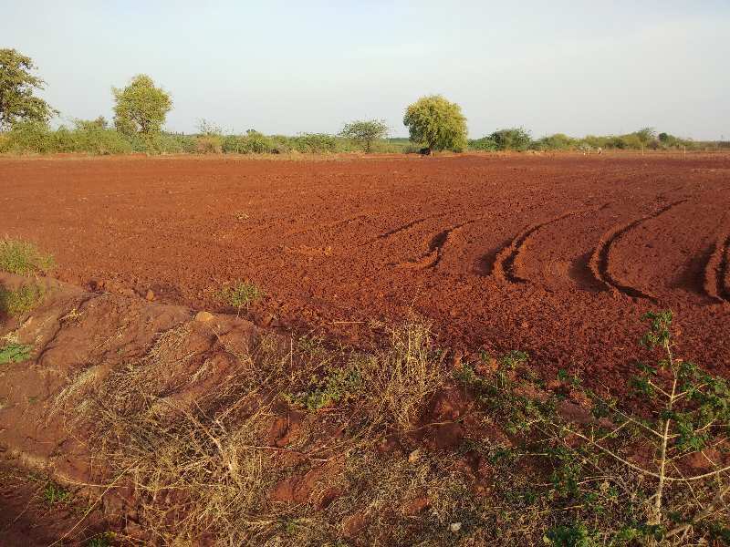 14 Acre Agricultural/Farm Land For Sale In Hiriyur, Chitradurga