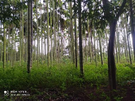 Form land in Tumkur, near Bangalore