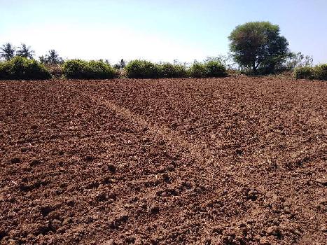 Agriculture farm land, red soil