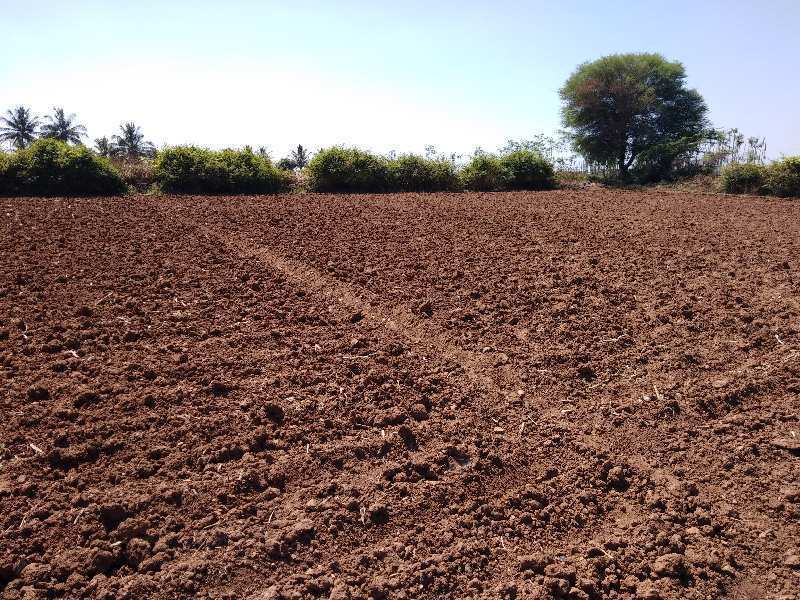Agriculture Farm Land, Red Soil