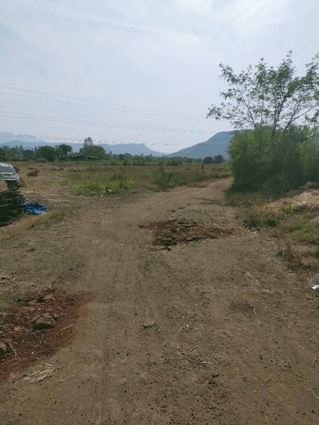 15 Guntha Agricultural/Farm Land for Sale in Igatpuri, Nashik