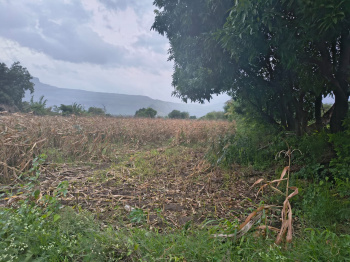 Kadava Dam view land in Igatpuri