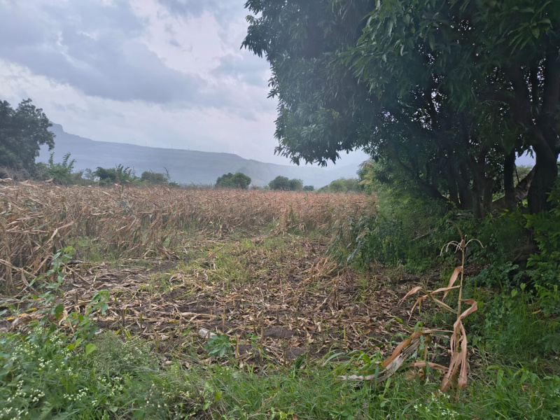 Kadava Dam view land in Igatpuri