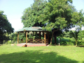Property for sale in Alibag, Raigad