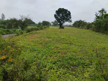 25 Guntha nr Darna Dam, Igatpuri