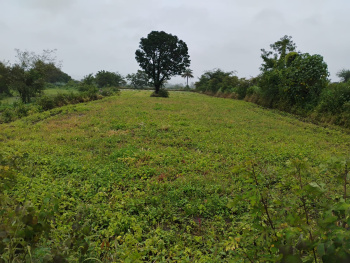 Property for sale in Igatpuri, Nashik