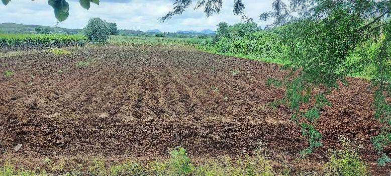 5100 Sq. Meter Agricultural/Farm Land for Sale in Dindori, Nashik