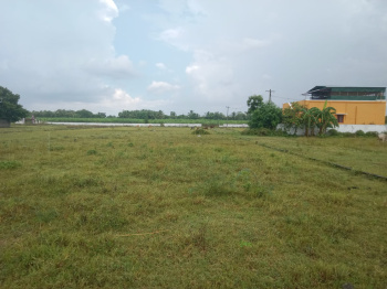 1200 Sq.ft. Residential Plot for Sale in Mambakkam, Chennai