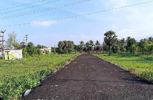 1800 Sq.ft. Residential Plot for Sale in Padmavathy Nagar, Chennai