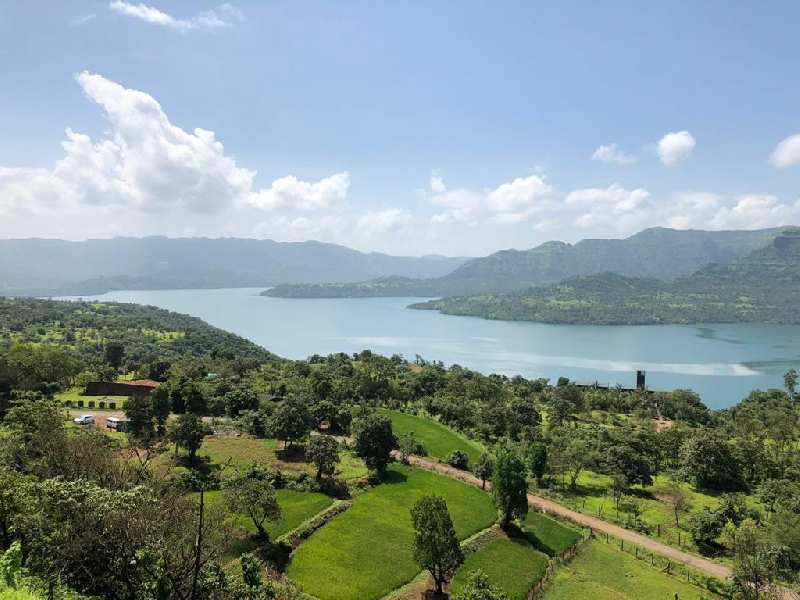 20000 Sq.ft. Agricultural/Farm Land for Sale in Mulshi, Pune