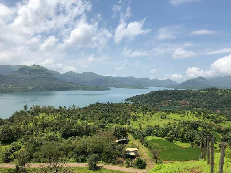 20000 Sq.ft. Agricultural/Farm Land for Sale in Mulshi, Pune