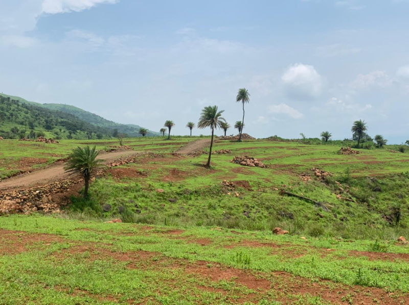 Permium dam view farmhouse plots in Karandi Bhor Pune.