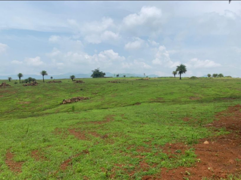 Premium Farmhouse plots in Karandi hills