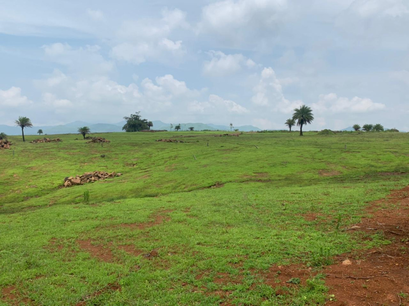 Premium Farmhouse plots in Paal hills
