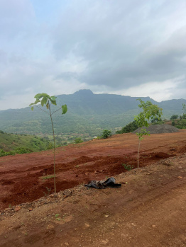 Residential Plot for Sale in Velhe, Pune (11000 Sq.ft.)
