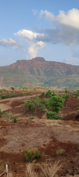 Residential Plot for Sale in Velhe, Pune (11000 Sq.ft.)