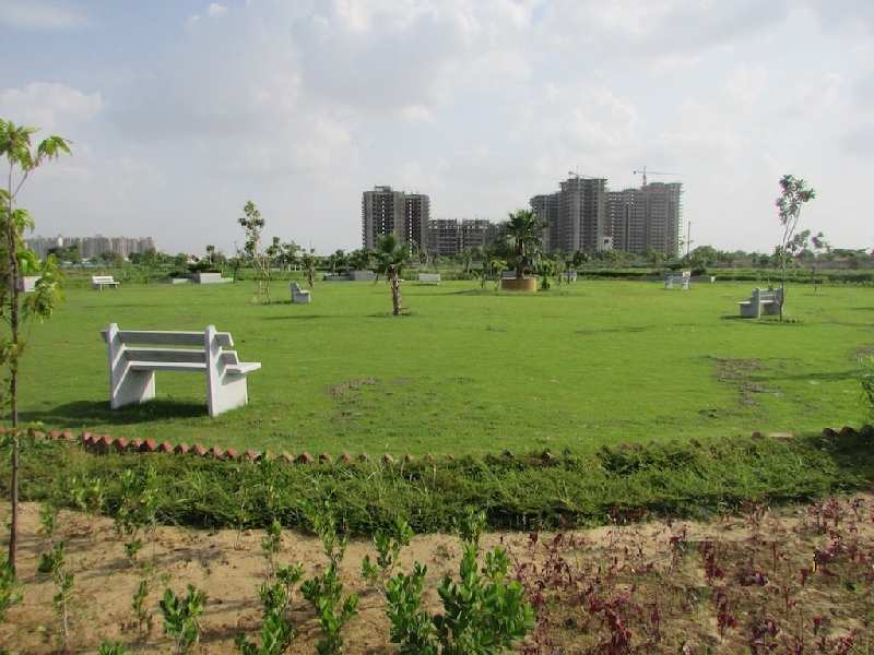 269 Sq. Yards Residential Plot for Sale in Sector 99, Gurgaon