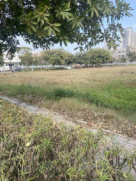 290 Sq. Yards Residential Plot for Sale in Sector 99, Gurgaon