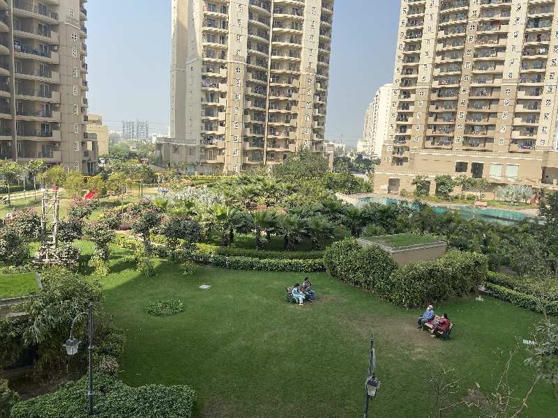 3 BHK Flats & Apartments for Sale in Sector 109, Gurgaon (1500 Sq.ft.)