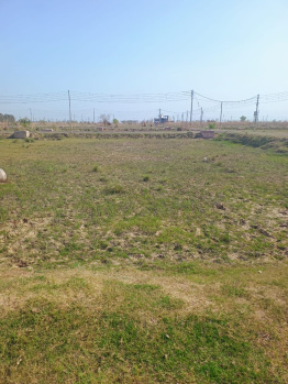 263 Sq.ft. Residential Plot for Sale in Sector 27, Rohtak