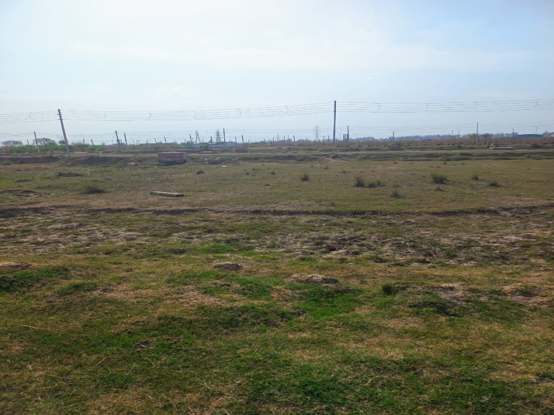 195.68 Sq. Yards Residential Plot For Sale In Sector 27, Rohtak