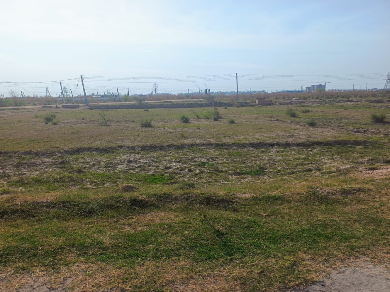 184 Sq. Yards Residential Plot For Sale In IMT, Rohtak