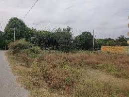 387 Sq. Yards Residential Plot for Sale in Sector 13, Bahadurgarh