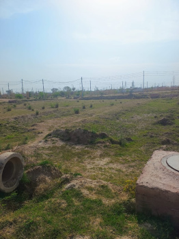 350 Sq. Yards Residential Plot for Sale in Sector 27, Rohtak