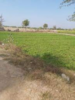 Residential Plot for Sale in Weir, Bharatpur (30 Bigha)