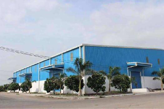 25000 Sq.ft. Warehouse/Godown for Rent in Ecotech XII, Greater Noida