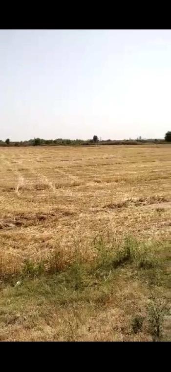 45 acre agriculture property near mahil pur