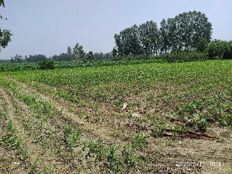 45 Ares Agricultural/Farm Land for Sale in Hoshiarpur