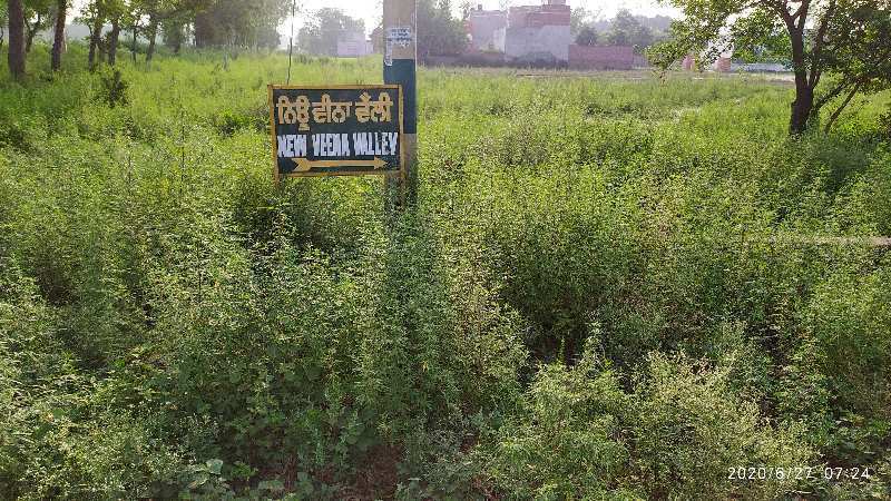 12 Marla Residential Plot for Sale in Salwara, Hoshiarpur