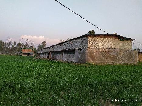 Poultry farmhouse, agriculture land for sale