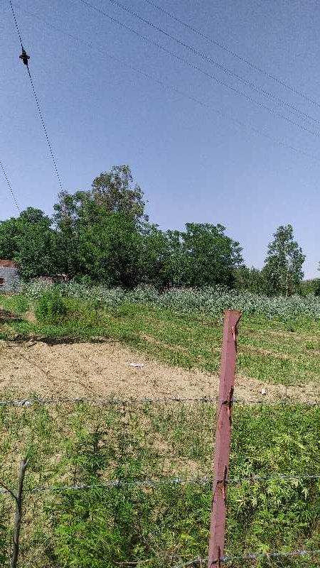 2 Acre Agricultural/Farm Land for Sale in Hoshiarpur