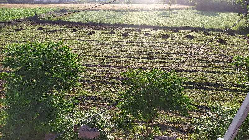 65 acre agriculture near saila khurd