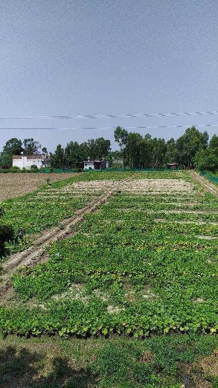 Industrial property for sale 25 acre in Hoshiarpur