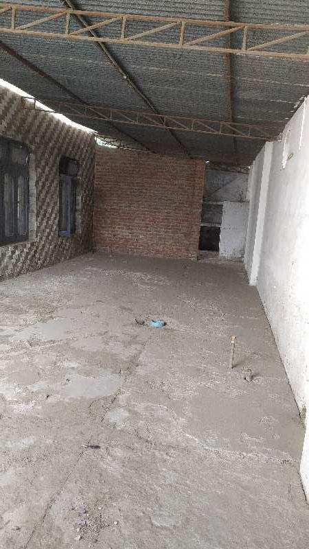10000 Sq.ft. Warehouse/Godown for Rent in Piplan Wala, Hoshiarpur (8000 Sq.ft.)