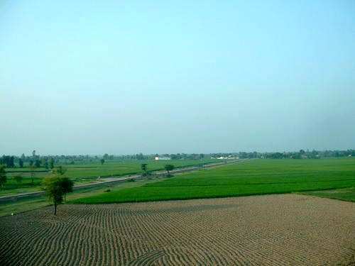 Farm House for Sale in Gwalior (76500 Sq.ft.)