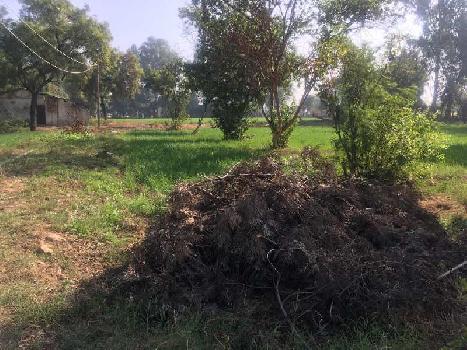 Property for sale in Dhansa, Delhi
