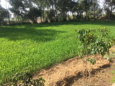 Property for sale in Dhansa, Delhi