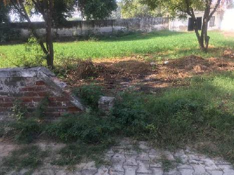 Property for sale in Dhansa, Delhi
