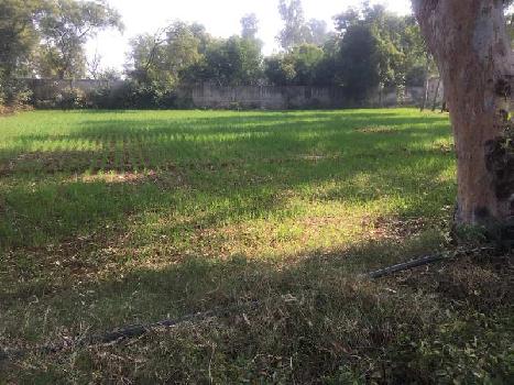 Property for sale in Dhansa, Delhi