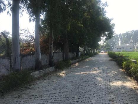 Property for sale in Dhansa, Delhi